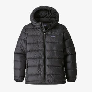 Hi-Loft Down Sweater Hoody Puffer